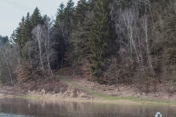 深い川の岸に森の湧き水 — ストック写真