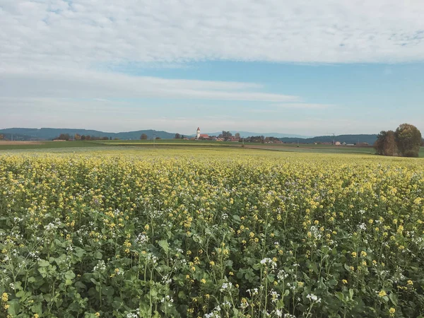 Pemandangan Gunung Dan Alam Yang Indah Bavaria Jerman — Stok Foto