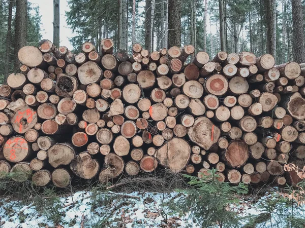 Palivové Dříví Stohování Dvorku Zimě Krytý Sněhu — Stock fotografie