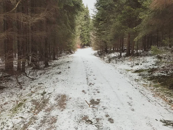 Снежная Дорога Горной Деревне Фалбах Бавария Германия — стоковое фото