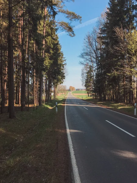 Camino Asfalto Con Una Franja Divisoria Largo Del Bosque Otoño — Foto de Stock