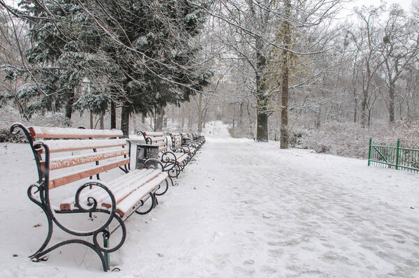 Benches in the park covered with snow