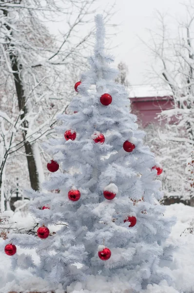 Merry Christmas Happy New Year White Snow Tree Red Ball — Stock Photo, Image