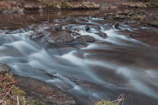 Little River Beautiful Forest Bavaria — Stock Photo, Image