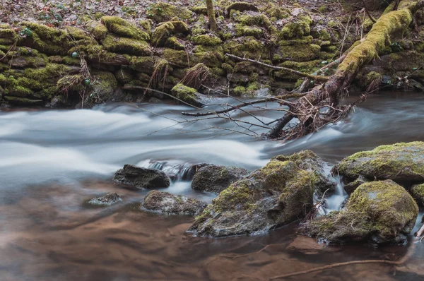 Malá Řeka Krásné Lesní Bavorsko — Stock fotografie