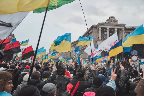 Ukraina Kijów Grudnia 2013 Spotkanie Poświęcone Malejącego Ukrainy Dla Integracji — Zdjęcie stockowe