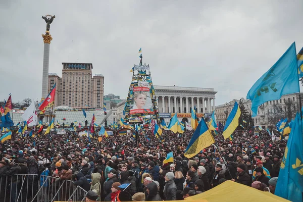 Ukraina Kiev December 2013 Mötet Ägnas Minskar Ukraina För Integrering — Stockfoto