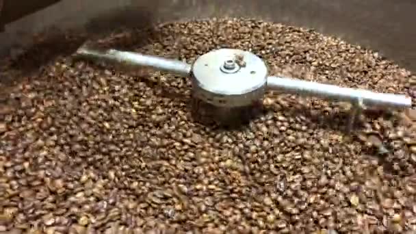 Pražení Ochlazte Kávové Fazole Pražení Hnědé Fazole — Stock video