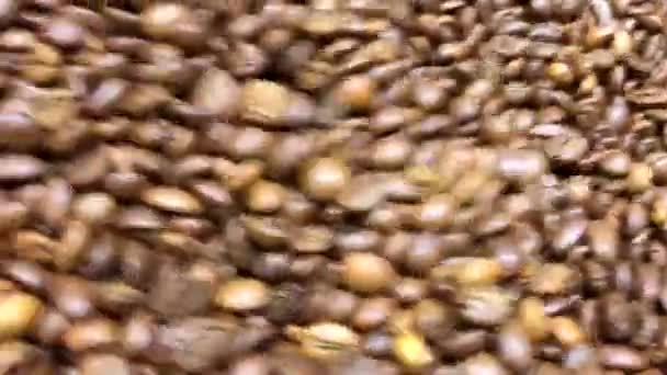 Kaffeebohnen Nach Dem Rösten Kühlen Eine Röstmaschine Braune Aromatisierte Kaffeebohnen — Stockvideo