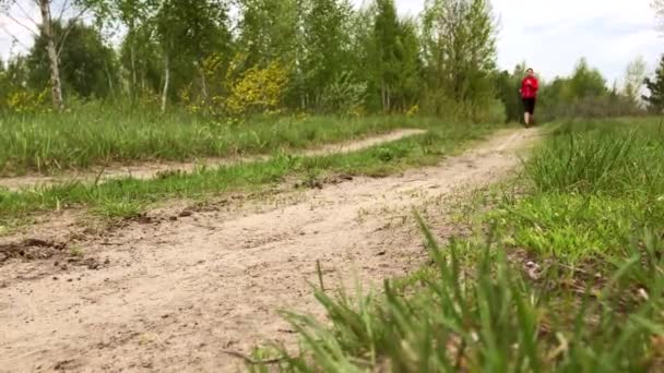 Жінка Біжить Стежці Дивовижної Природи Фітнес Спорт Здоровий Спосіб Життя — стокове відео