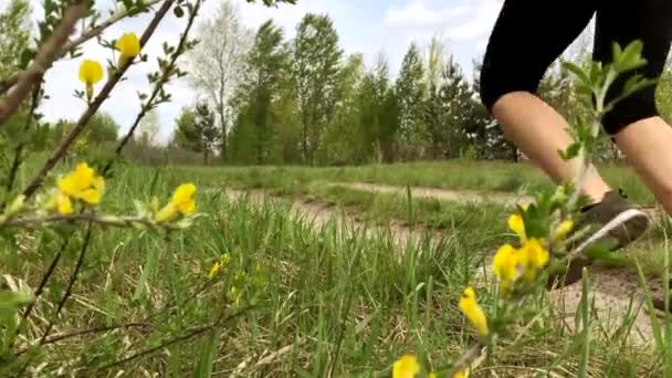 Trilha Mulher Corredor Correndo Incrível Caminho Natureza Fitness Esporte Estilo — Vídeo de Stock