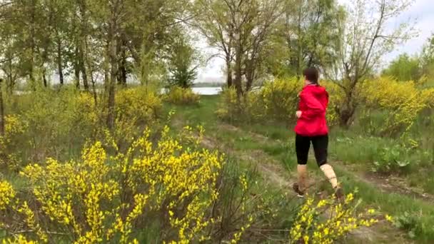 女赛跑选手在令人惊奇的自然路上奔跑 健身运动和健康的生活方式女孩在美丽的戏剧风景中接受训练 适合女赛跑选手 — 图库视频影像