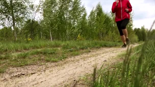 Correndo Mulher Floresta Hora Verão Vídeo Câmera Lenta — Vídeo de Stock