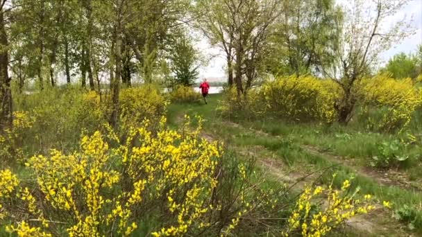 Mujer Corriendo Bosque Hora Verano Vídeo Cámara Lenta — Vídeo de stock