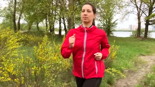 Mujer Corriendo Bosque Hora Verano Vídeo Cámara Lenta — Vídeos de Stock
