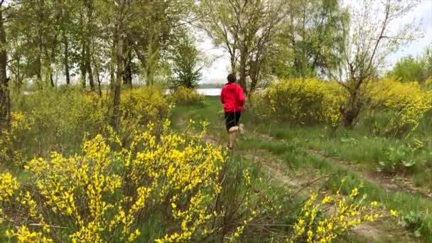 Běžící Žena Lese Letním Čase Pomalý Pohyb Videa — Stock video