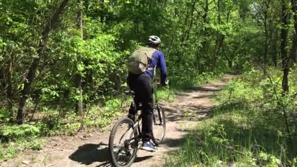 Rowerzysta Jedzie Wzdłuż Ścieżki Parku Słoneczny Dzień — Wideo stockowe