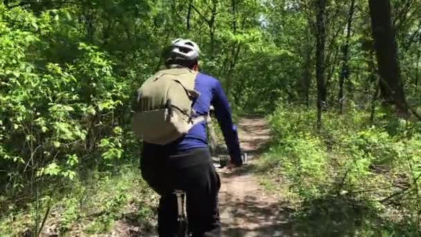 Ciclista Monta Longo Caminho Parque Dia Ensolarado — Vídeo de Stock