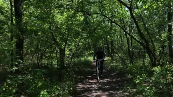 Ciclista Pasea Por Sendero Parque Día Soleado — Vídeo de stock