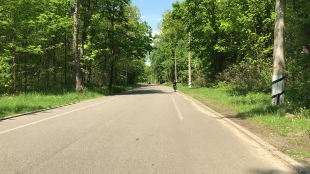 Ciclista Monta Longo Caminho Parque Dia Ensolarado — Vídeo de Stock