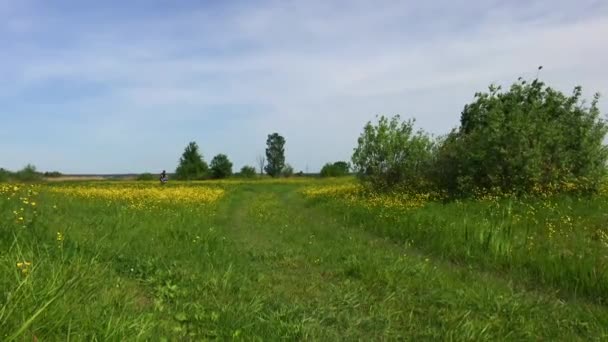 農場に沿って移動する自転車に乗った女の子観光客 — ストック動画