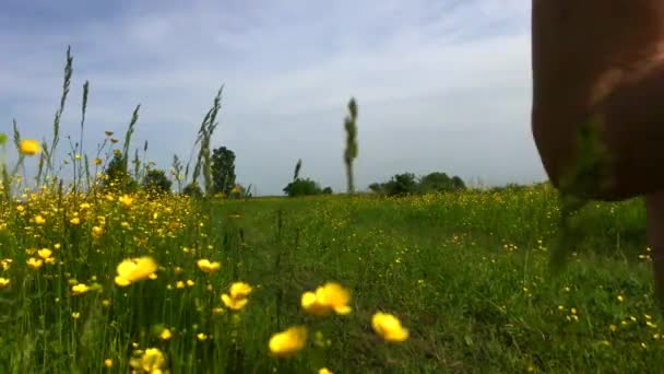 在自然公园里奔跑的女人夏日的自然阳光独自在路上 — 图库视频影像