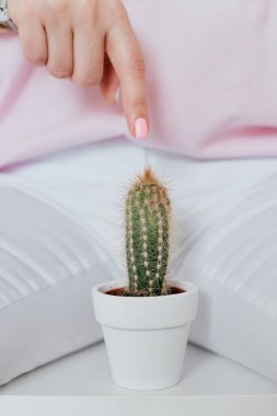 a green prickly cactus stands between her legs in white pants, showing off her bikini zone. Prickly cactus does not allow you to touch it, the hair on the body is prickly like a cactus clipart