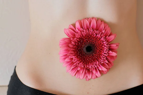 Nackter Bauch Mit Einer Rosa Gerbera Blume Nabel Großaufnahme — Stockfoto