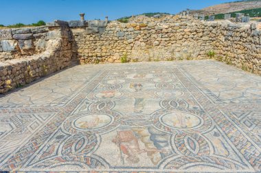 Volubilis, Fas içinde Roma mozaikleri