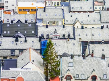 Alesund, Norveç'in tipik gri art nouveau tarzı çatılar