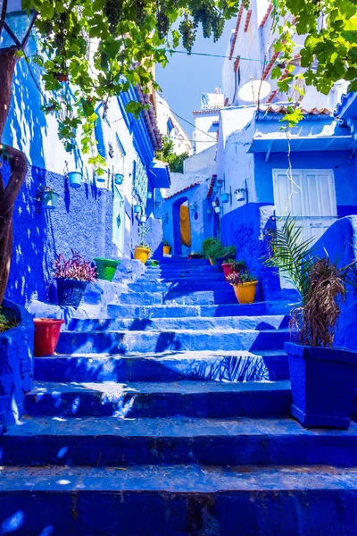 Chefchaouen的蓝色楼梯 摩洛哥 — 图库照片