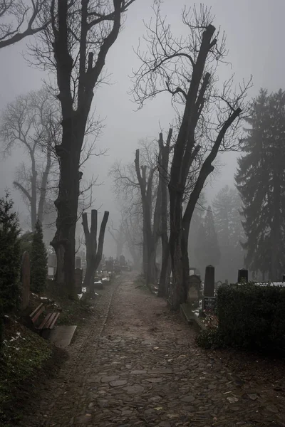 Eski mezarlık sis, siyah ve beyaz