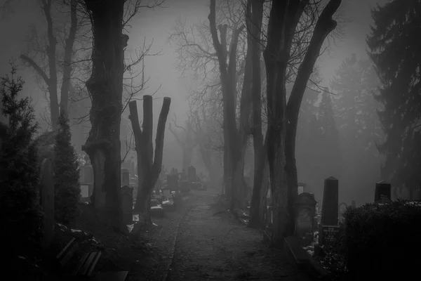 Eski mezarlık sis, siyah ve beyaz