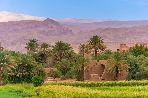 Oasis Tinghir Little Town Morocco — Stock Photo, Image