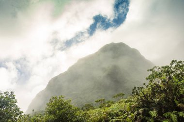 Mount Pelee volkan ve Martinique orman siste