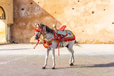Beyaz At Meydanı, güneşli bir gün