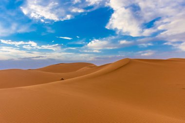 Alacakaranlıkta Sahra Çölü 'nün kumullarının güzel manzarası, Merzouga, Fas