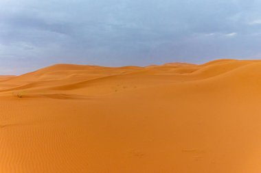 Alacakaranlıkta Sahra Çölü 'nün kumullarının güzel manzarası, Merzouga, Fas