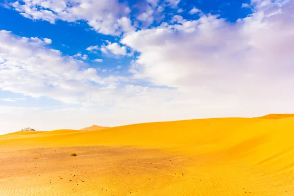 Beautiful Landscape Dunes Sahara Desert Merzouga Morocco — Stock Photo, Image