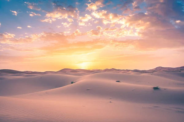 Splendida Alba Nel Deserto Del Sahara Marocco — Foto Stock