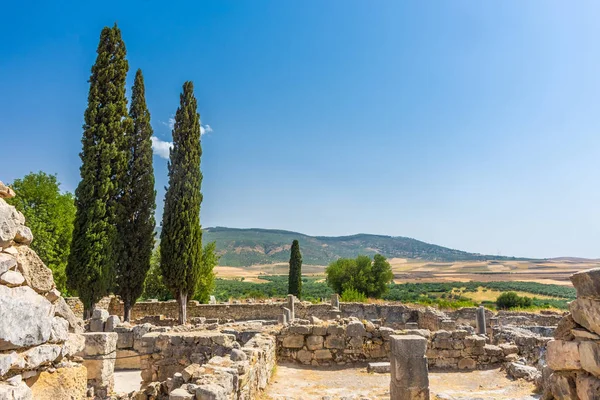 Ancient Columns Meknes City — Stock Photo, Image