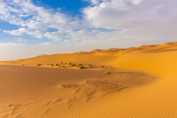 Bellissimo Paesaggio Delle Dune Nel Deserto Del Sahara Merzouga Marocco — Foto Stock