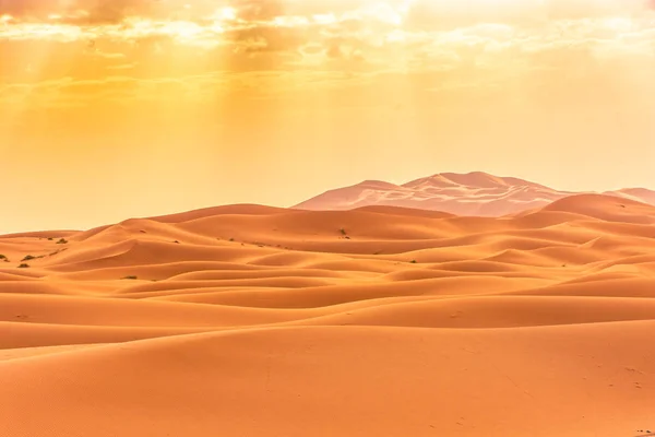 Hermoso Paisaje Del Desierto Del Sahara Erg Chebbi Merzouga Morocco — Foto de Stock