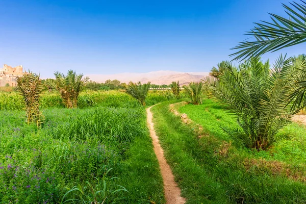 Oasis Tinghir Little Town Morocco — Stock Photo, Image