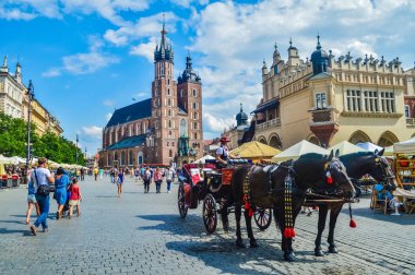KRAKOW, POLAND, 17 HAZİRAN 2018: Krakow St M önündeki atlar