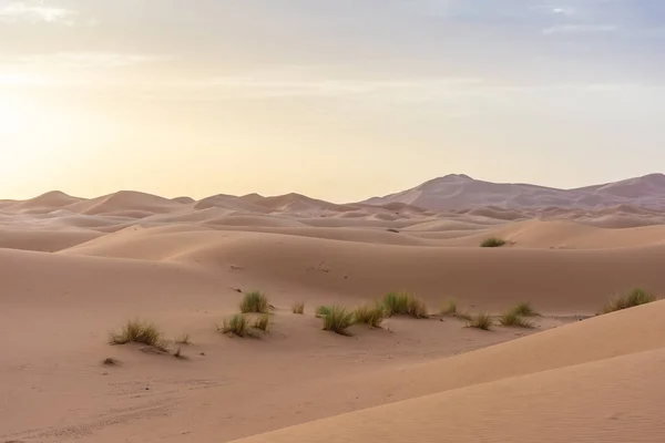 Bellissimo Paesaggio Del Deserto Del Sahara Erg Chebbi Merzouga Morocco — Foto Stock