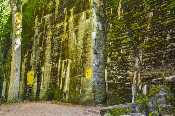 Gierloz Pologne Août 2018 Tanière Loup Bunker — Photo