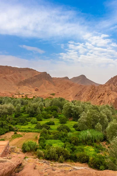 Landscape Thousand Kasbahs Valley Morocco — Stock Photo, Image