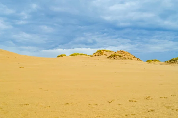 Dunas de Leba en el desierto del Parque Nacional Slowinski, Polonia — Foto de Stock