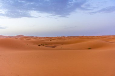 Erg Chebbi 'nin kumullarında şafak vakti, Sahra Çölü, Fas